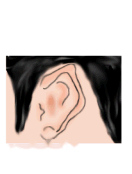 ดูโหงวเฮ้งส่วนบนใบหูแหลม