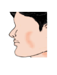 ดูโหงวเฮ้งจมูกห้อยขึ้น