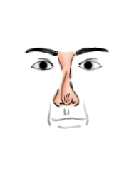 ดูโหงวเฮ้งมีรอยย่นที่ปลายจมูก